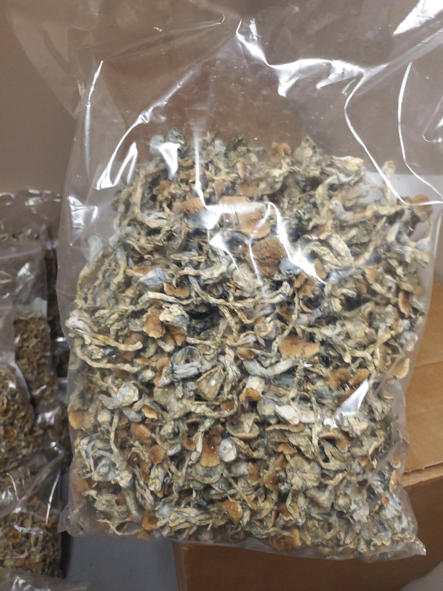 Golden Teacher